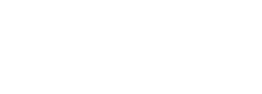 LTI Swim Academy Logo